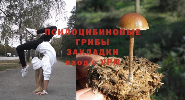 а пвп мука Каменка