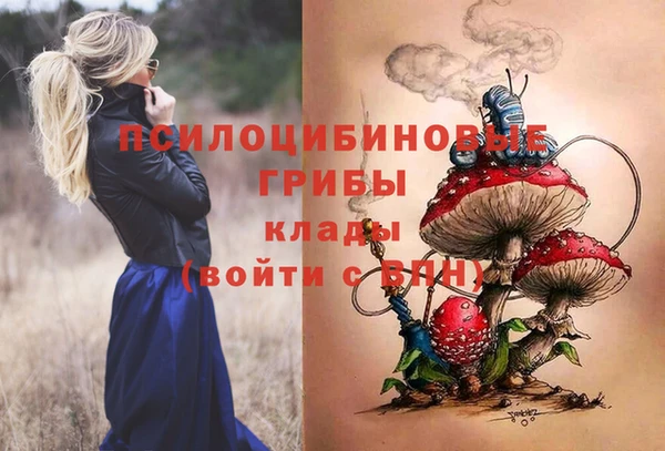 а пвп мука Каменка