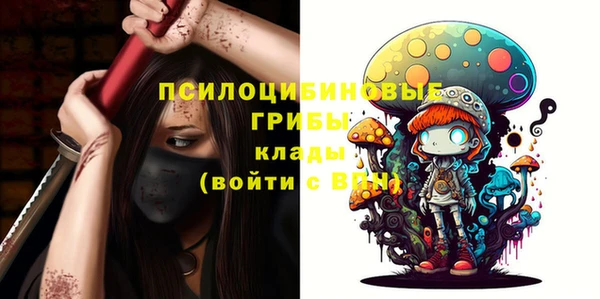 а пвп мука Каменка