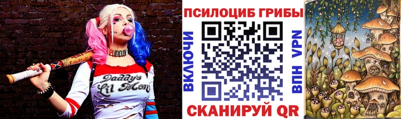 Купить где  Сокол  Галлюциногенные грибы GOLDEN TEACHER 
